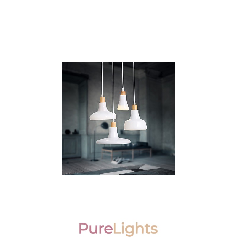 Creative Characteristic 4 Light Pendant with Iron Shade