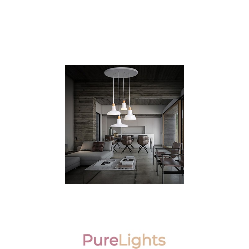 Creative Characteristic 4 Light Pendant with Iron Shade