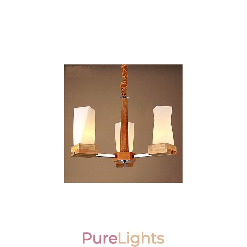 Simple Art lighting Solid wood Creative Iiving Ceiling lamp