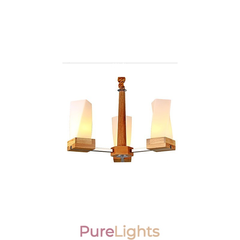 Simple Art lighting Solid wood Creative Iiving Ceiling lamp