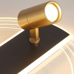 Ceiling Lamp Unique Acrylic Decor Lighting Spotlight