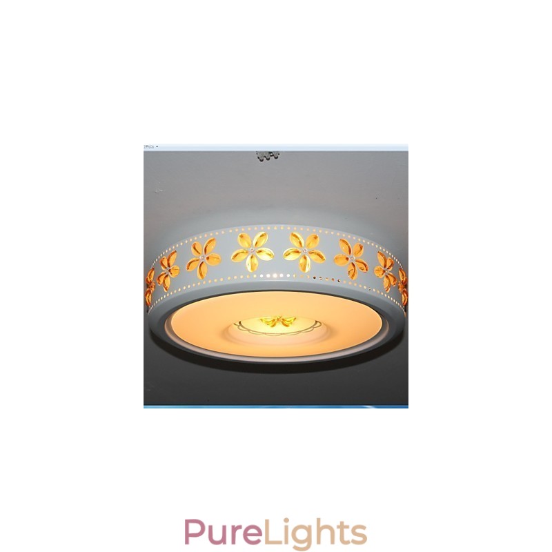 Modern Iron Shaped 2 Head Ceiling lamps