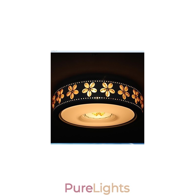 Modern Iron Shaped 2 Head Ceiling lamps