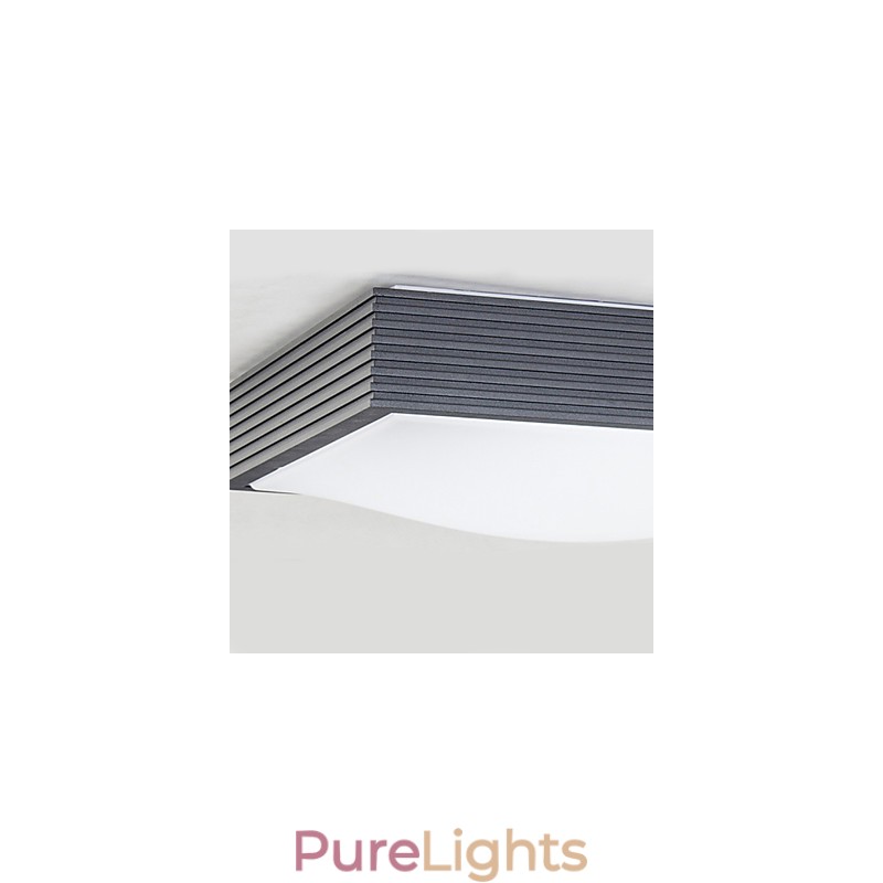 Modern Contemporary Decorative Design Ceiling Light